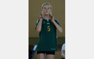 Tout avait si bien commencé...