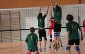 Les jeunes montrent la voie...