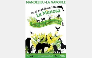 Le MLNVB fête le mimosa