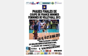 Merci les volleyades, place à la coupe de France