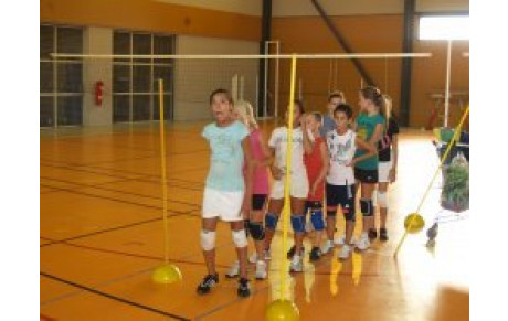 ACTUALITE: championnat et coupe de France