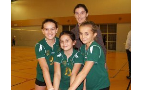 Bons coups et coup de bambou