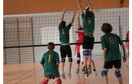 Les jeunes montrent la voie...