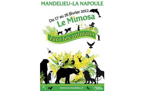 Le MLNVB fête le mimosa