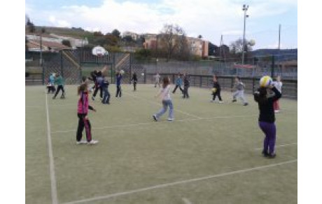Les élèves pégomassois découvrent le volley