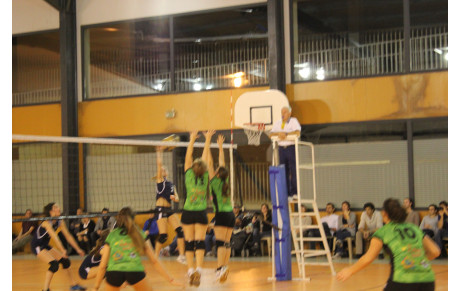 Pour tous les goûts