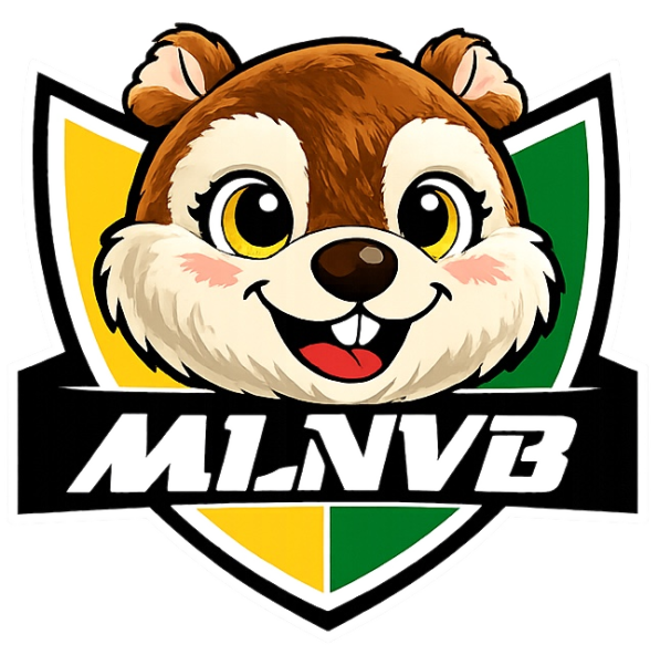 ECOLE DE VOLLEY